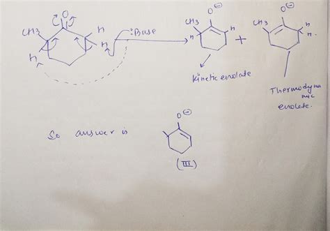 Solved O 29 Which Is The Kinetic Enolate Of 2 Methylcyclohexanone