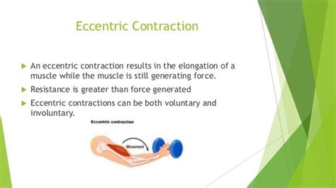 Types of muscle contraction