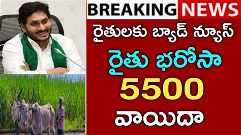 ఏపీ రైతులకు బ్యాడ్ న్యూస్ రైతు భరోసా 5500 వాయిదాap Ysr Rythu Bharosa