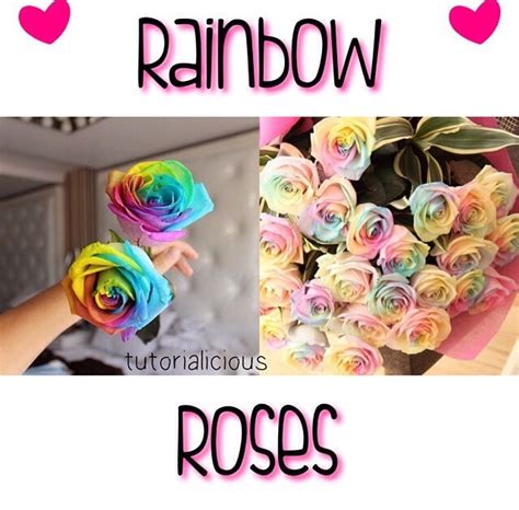 how to make rainbow roses - Musely