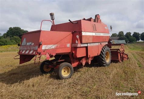 Kombajn Massey Ferguson Mf Z Sieczkarnia Szadek Sprzedajemy Pl