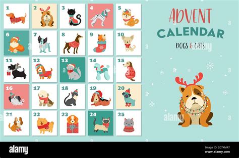 Christmas Advent Calendar With Dogs Funny Xmas Poster With Puppies