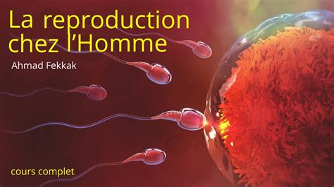 LA REPRODUCTION CHEZ L HOMME 2APIC Prof Ahmed FEKKAK YouTube