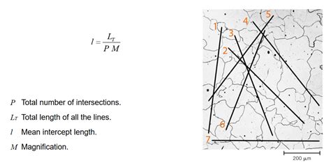 Solved A Employing The Intercept Technique Determine The Chegg