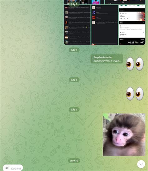 create meme beautiful monkey monkey cub monkey pictures meme