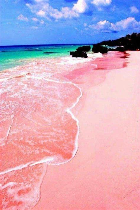 Pink Sand Beach Bahamas Bahamas Travel Pink Sand Beach Bahamas