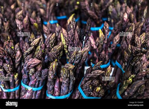 Bundles Of Purple Asparagus Stock Photo Alamy