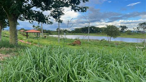 Moradores denunciam descaso em Carlópolis NPDiário