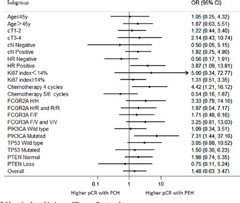 Figure 2 From Efficacy And Safety Analysis Of Trastuzumab And