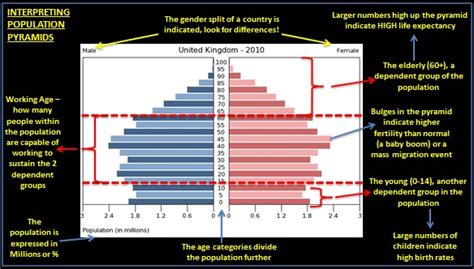 Gcse Population Pyramids