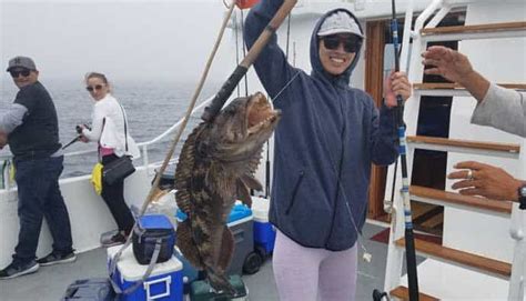 Lingcod Fishing Tips: How to Catch Ophiodon Elongatus