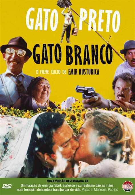 Gato Preto Gato Branco CINEMA IDEAL Em Casa