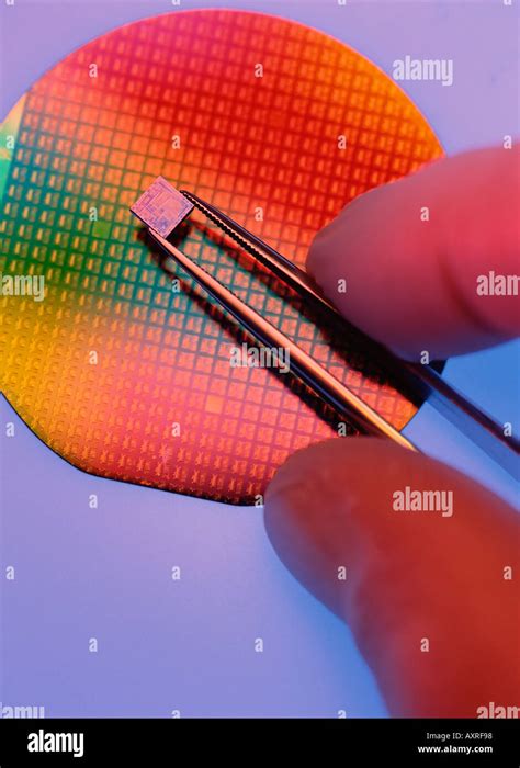 Silicon Wafer And Integrated Circuit Chip Stock Photo Alamy