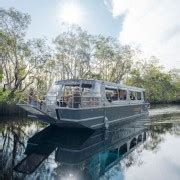 Noosa Everglades Explorer Cruise With Optional Canoeing GetYourGuide