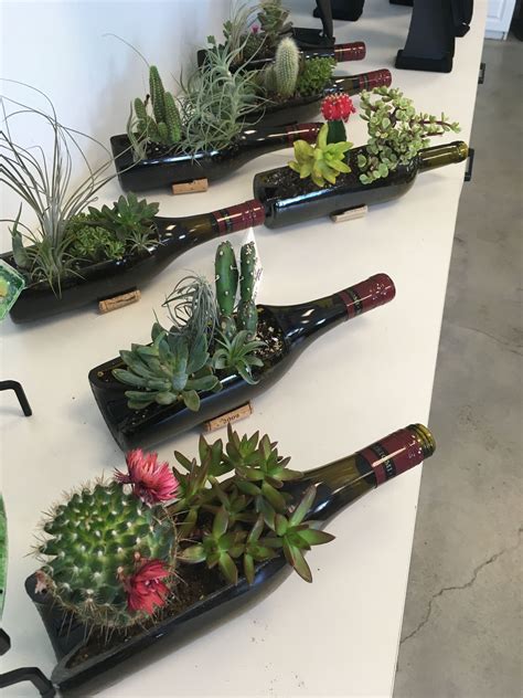 Diy wine bottle planter for succulents – Artofit