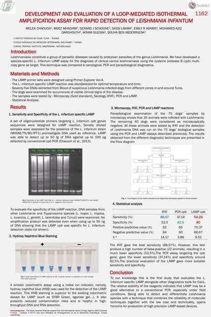 Development And Evaluation Of A Loop Mediated Isothermal Amplification