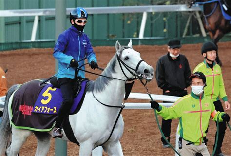 【菊花賞】枠順決定父キタサンブラックとの父子制覇狙うガイアフォースは1枠1番、ダービー3着アスクビクターモアは7枠14番：中日スポーツ・東京