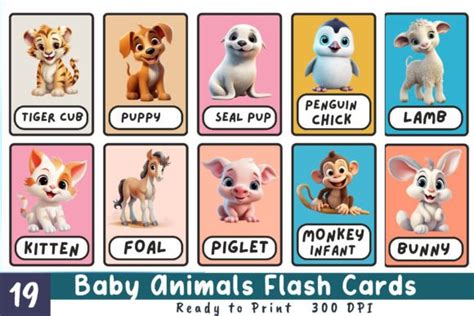 Baby Animals Flash Cards Printable Graphic by Md Shahjahan · Creative ...