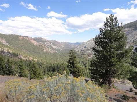 Ebbetts Pass Scenic By Way Angels Camp 2022 What To Know Before You