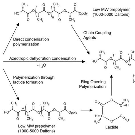 Synthesis Of Polylactic Acid Pla From L And D Lactic Acids