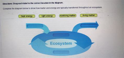 Complete The Diagram Below To Show How Matter And Energy Are Typically