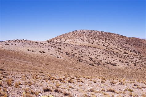 Ecosistema Terrestre Matorral Bajo Tropical Andino De Parastrephia