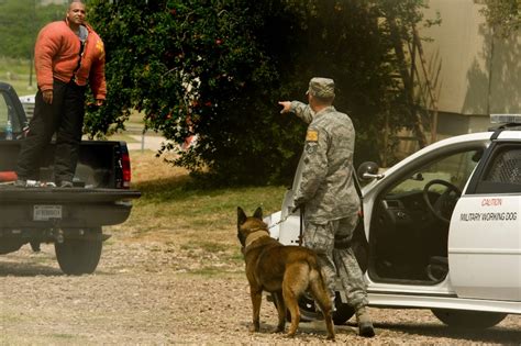 Military Working Dog Handlers Come Together For Joint Competition