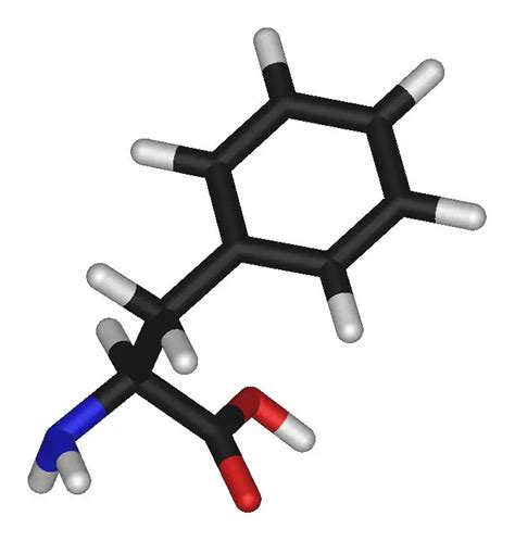 Fenilalanin - Türkçe Bilgi