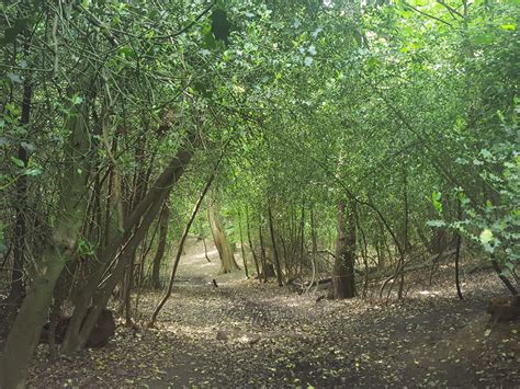 What’s up Shooters Hill? – Deserter