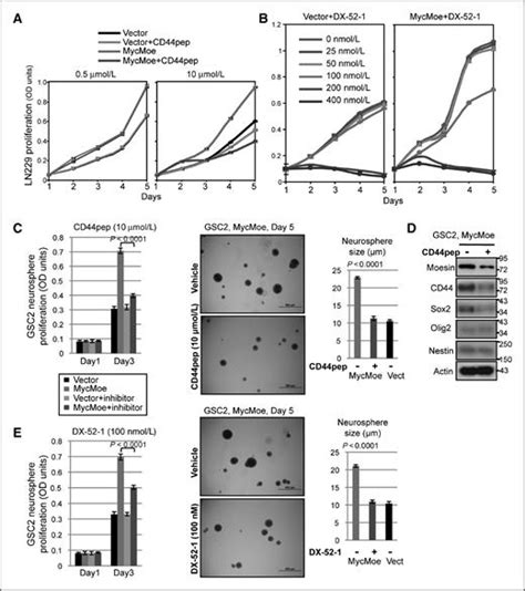 Moesin Is A Glioma Progression Marker That Induces Proliferation And