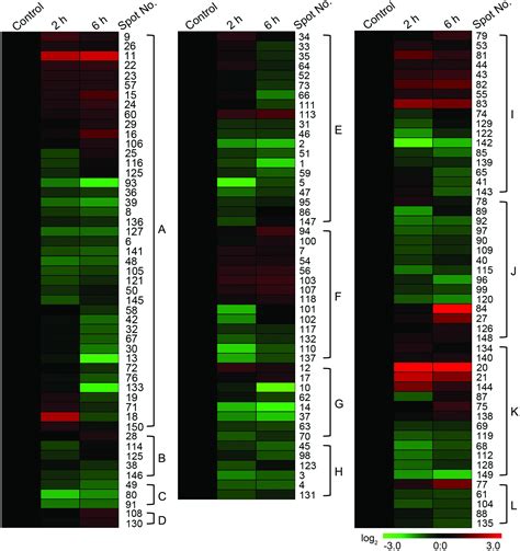 Frontiers Comparative Proteomic Analysis Of A Membrane Enriched