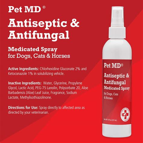 Treat my dog's yeast skin infection at home • Maggielovesorbit.com