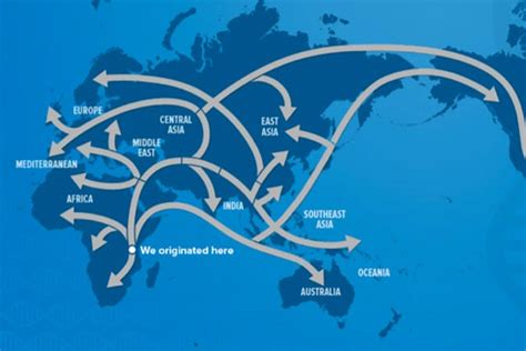 Genographic Project Dna Deep Ancestry Study