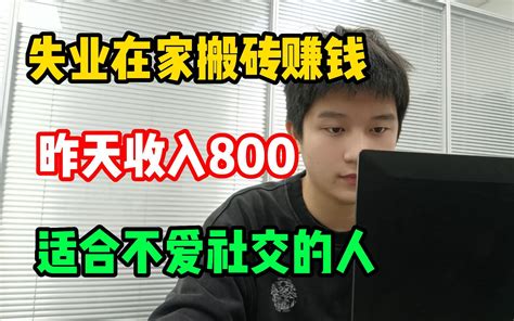 失业在家搬砖赚钱，昨天收入800，适合不爱社交的人！ 哔哩哔哩