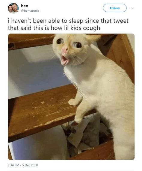 We Cant Stop Thinking About This Coughing Cat Meme Funny Animal