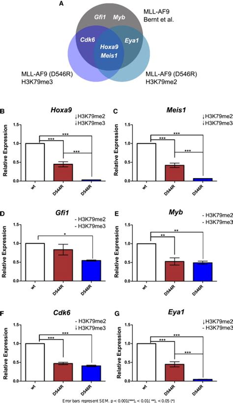 Gene Expression Data Using Mll Af9 Wt Mll Af9 D544r And Mll Af9