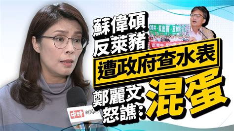 【政新鮮】蘇偉碩反萊豬遭政府查水表 鄭麗文怒譙：混蛋 Youtube