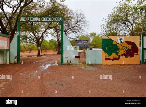 Niokolo Koba National Park, Senegal, Africa Stock Photo - Alamy