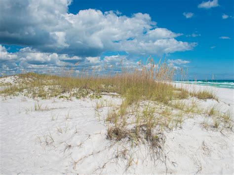florida  land  beachcombing national geographic national