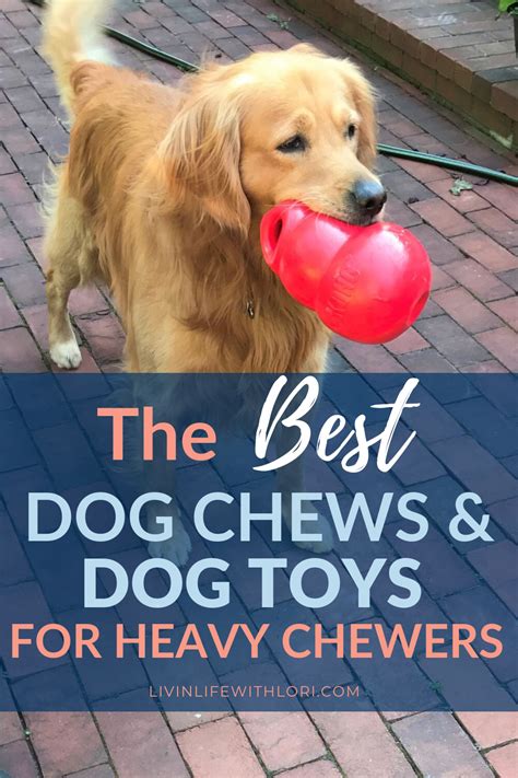 Best Dog Chews And Dog Toys For Heavy Chewers Livin Life With Lori