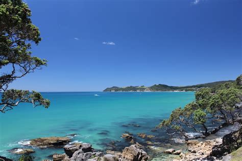 6 Northland Roadtrip Inspirational Itineraries To Try In New Zealand ...