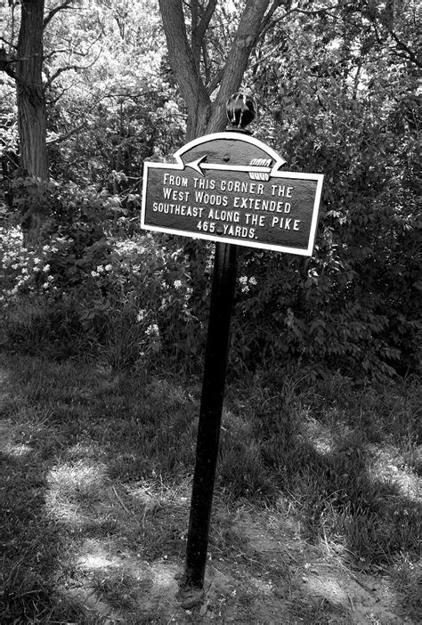 The West Woods Antietam National Battlefield Sharpsburg Flickr