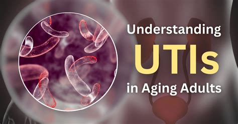 Understanding Utis In Aging Adults Burzynski Elder Law