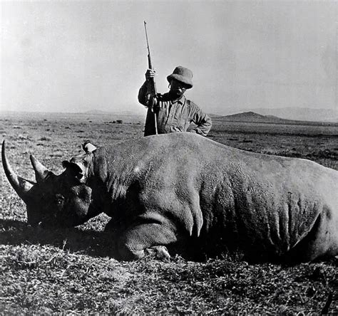 .405 Winchester: Roosevelt’s Medicine Gun For Lions | Big Game Hunting Blog