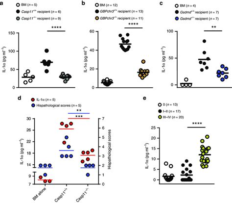 Caspase 11 And Gasdermin D Gsdmd Mediate Interleukin 1α Il 1α