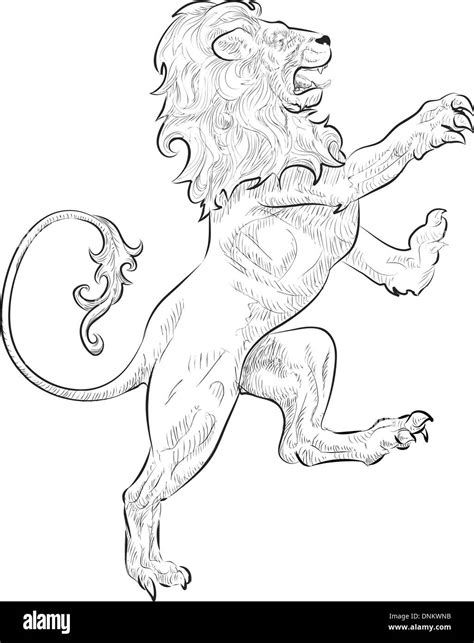 A Vector Illustration Of A Rampant Standing On Hind Legs Lion Stock