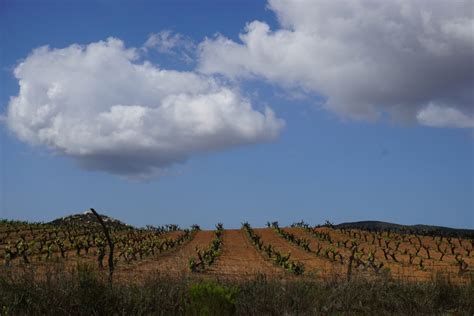 Cuántas casas vinícolas hay en el Valle de Guadalupe Que Visitar en