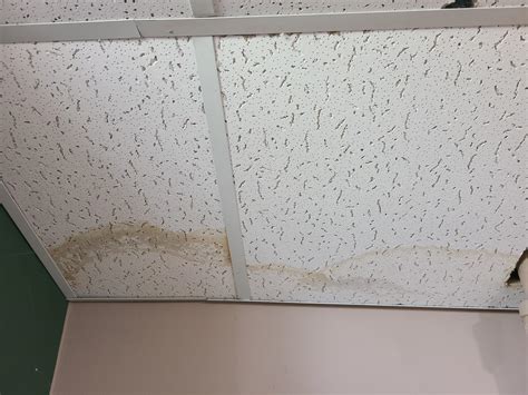 How to clean this water? Damage on my ceiling tiles? : r/howto