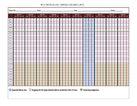 Dog Pregnancy Temperature Chart