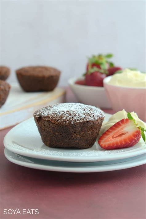 Gluten Free Okara Chocolate Cake | Soya Eats